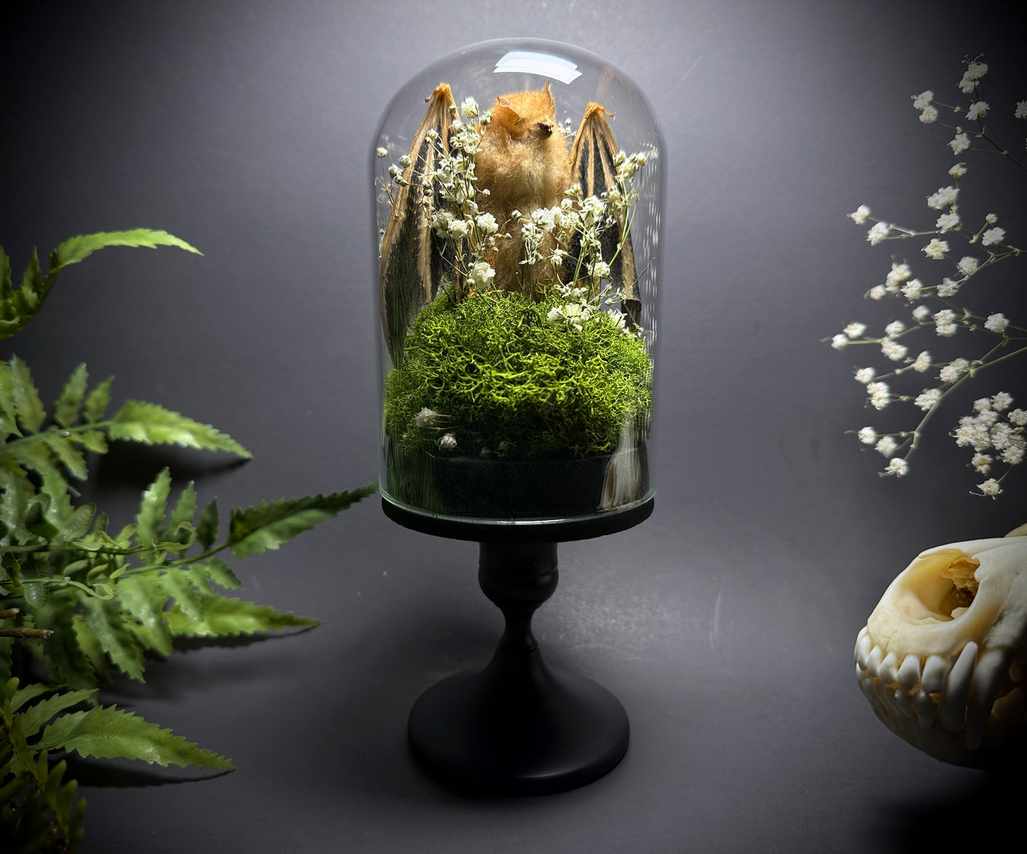 Painted Wooly Bat Taxidermy Pedestal Display