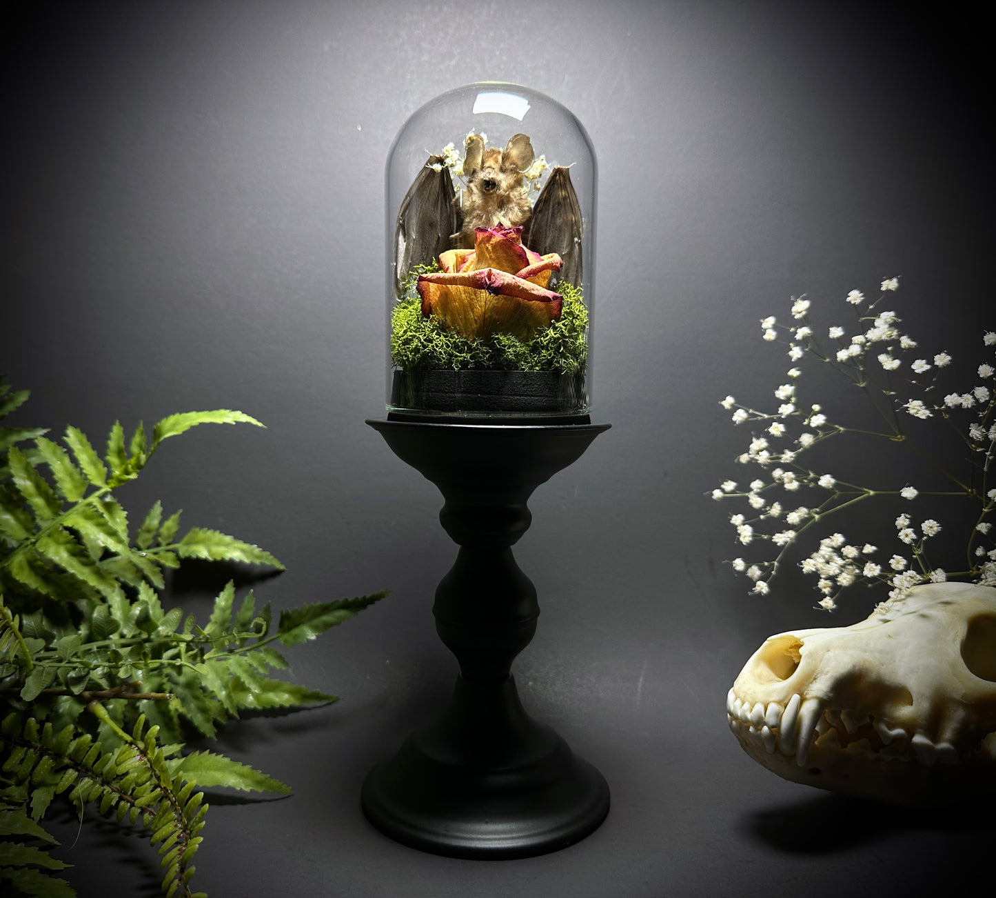 Large Taxidermy Bat & Rose Pedestal Dome Display