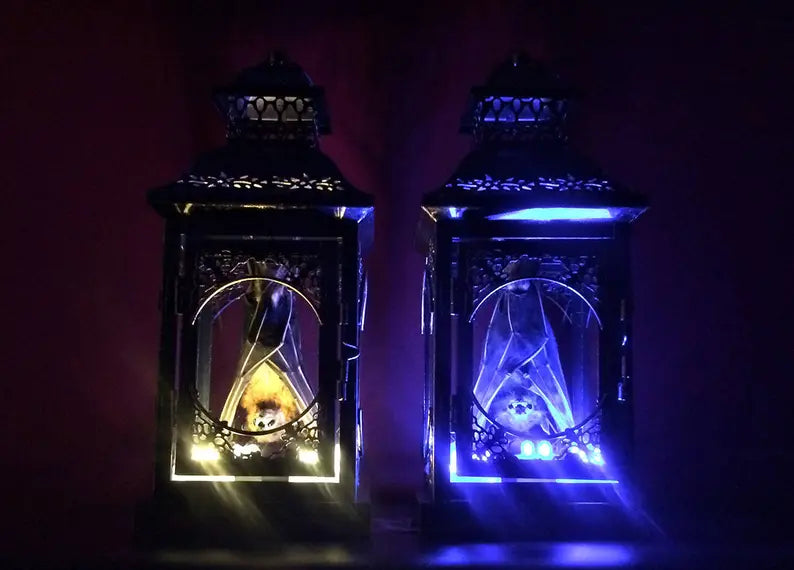 Small Light Up Taxidermy Bat Lantern - Front Hanging Position