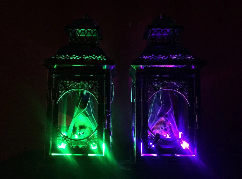 Small Light Up Taxidermy Bat Lantern - Front Hanging Position