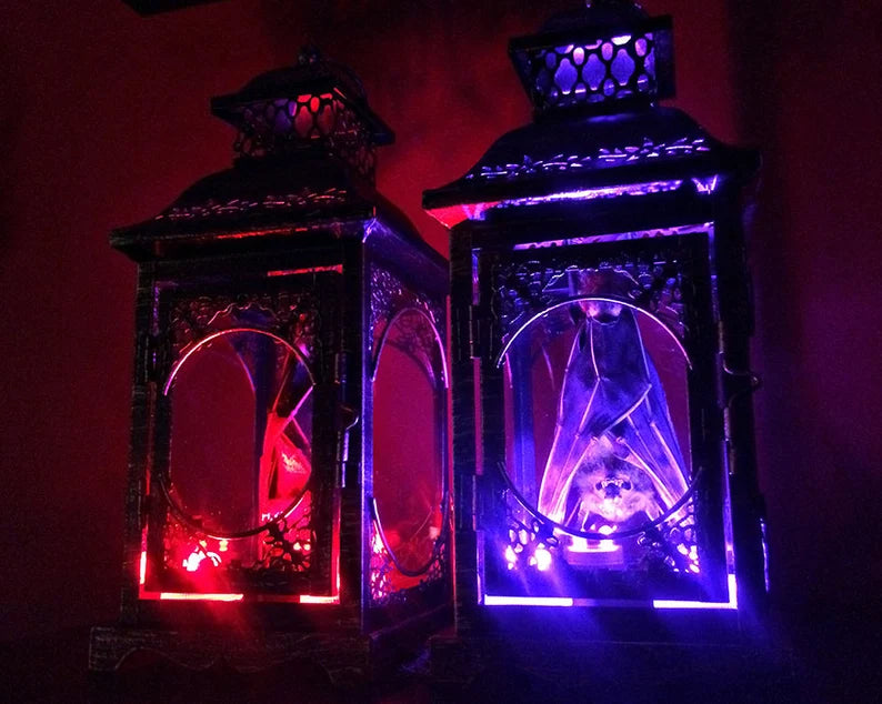 Small Light Up Taxidermy Bat Lantern - Front Hanging Position