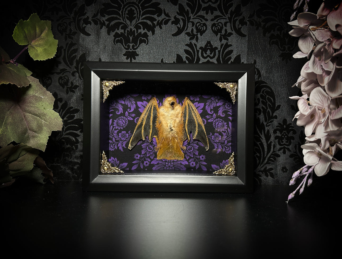 LAST ONE - (DISCONTINUED) Taxidermy Bat Shadowbox with Painted Bat on Purple Damask Backing