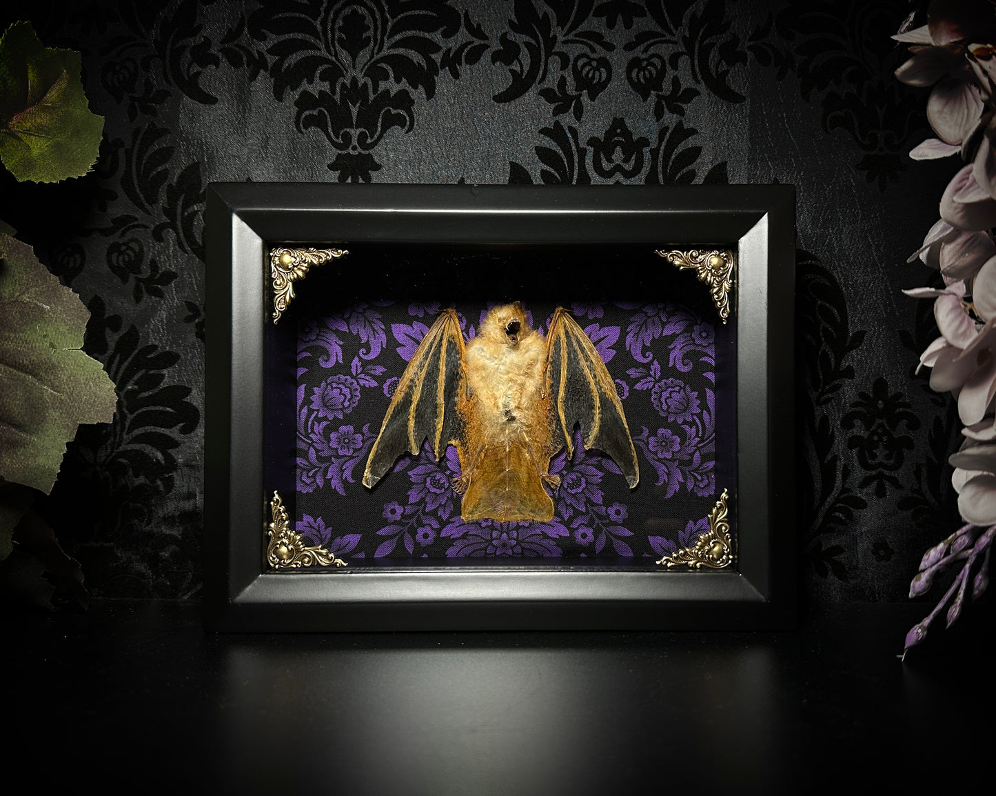 LAST ONE - (DISCONTINUED) Taxidermy Bat Shadowbox with Painted Bat on Purple Damask Backing