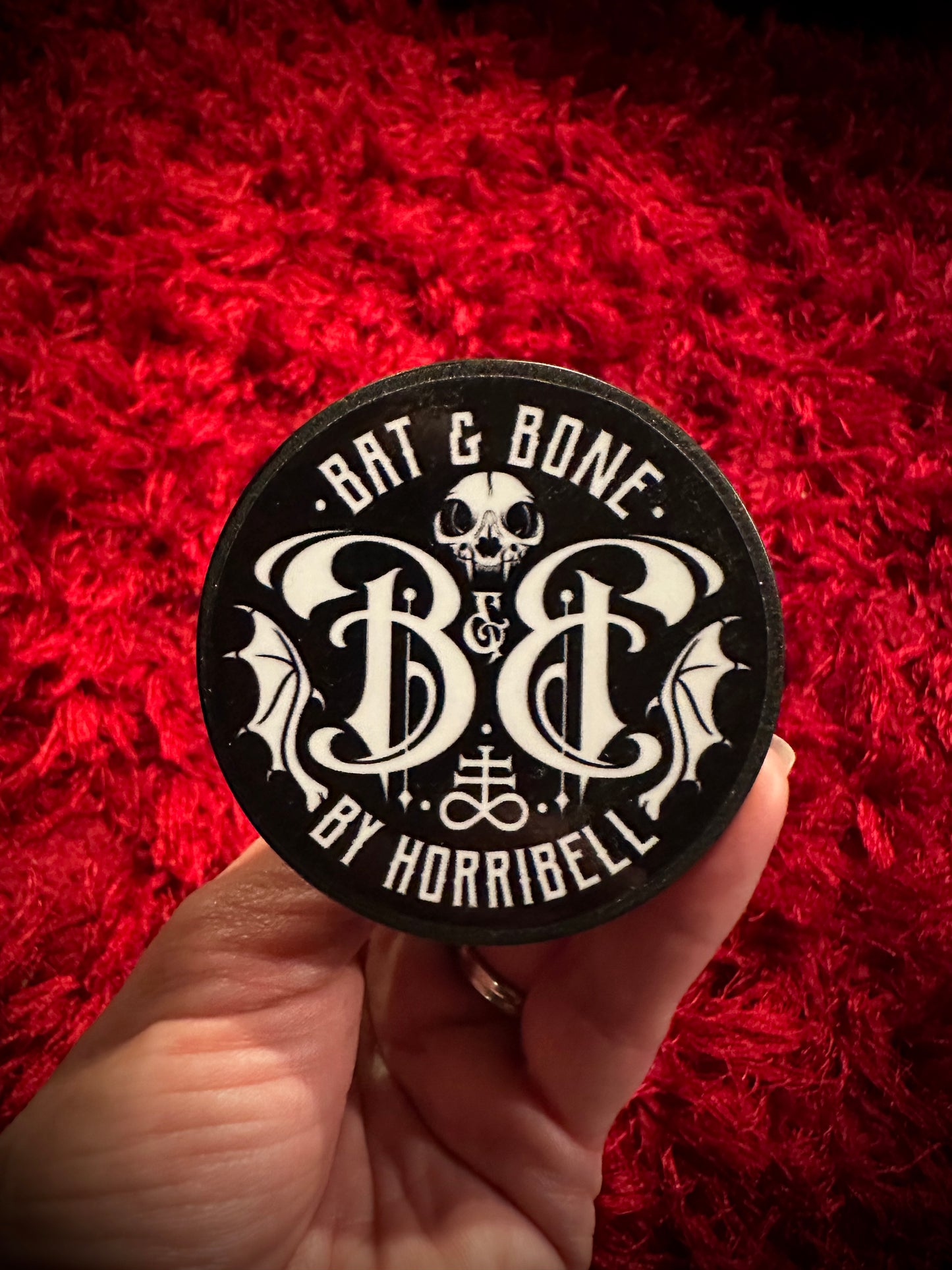 Taxidermy Dome Pedestal Display - Raccoon Jawbone with Blue & Black Butterfly