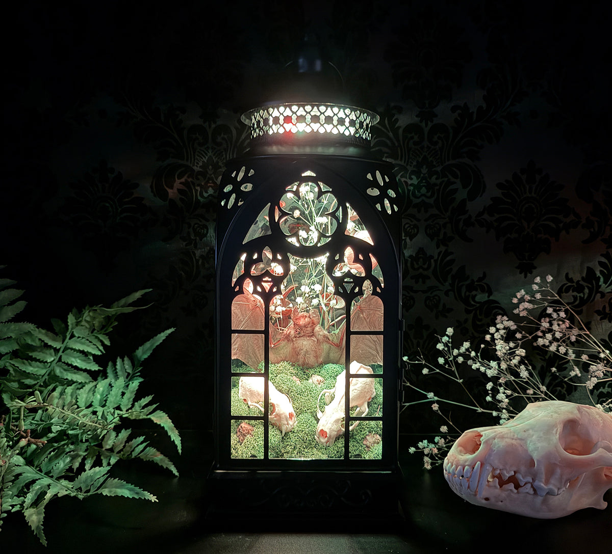 Custom Taxidermy Bat Lantern for Cameron