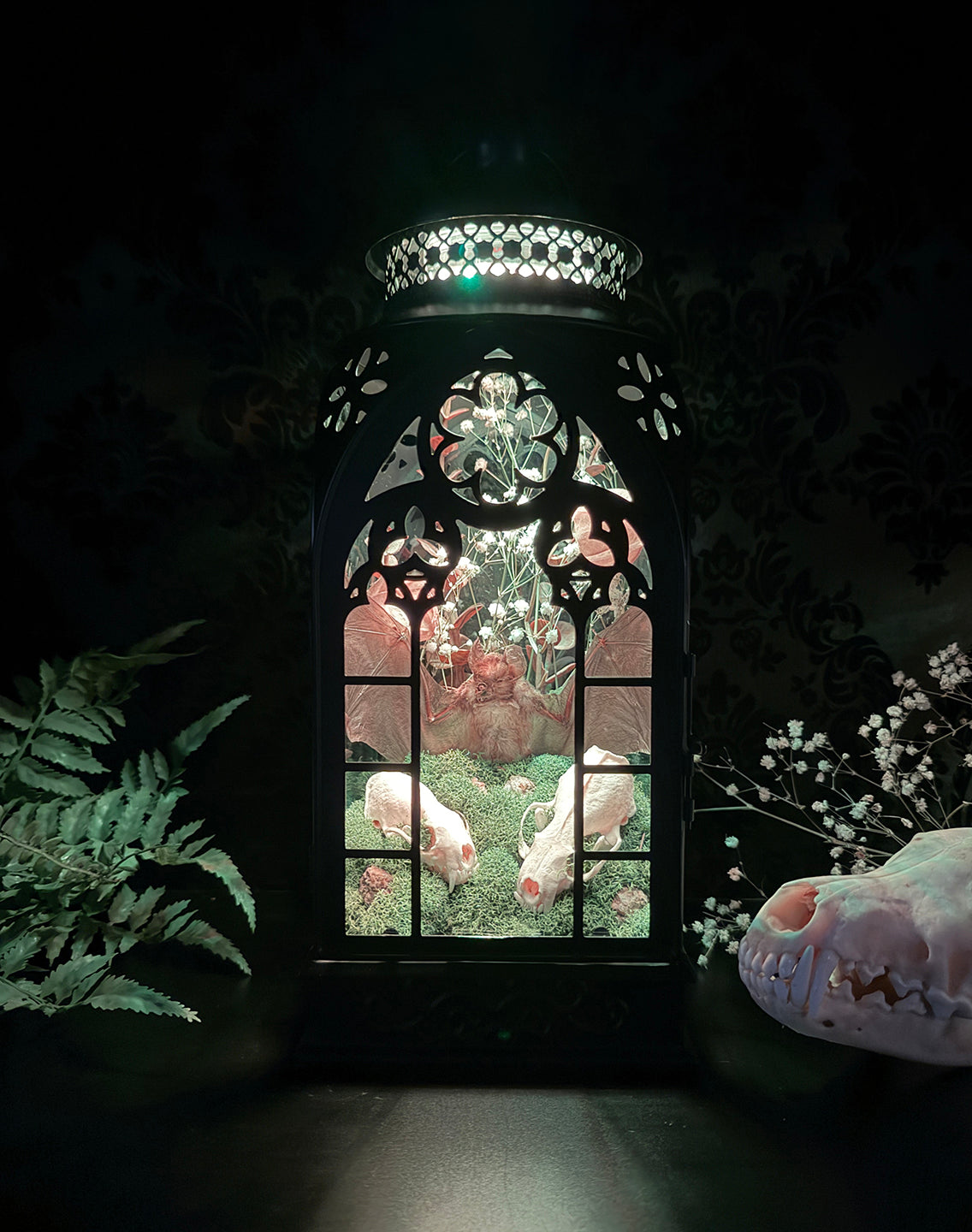 Custom Taxidermy Bat Lantern for Cameron