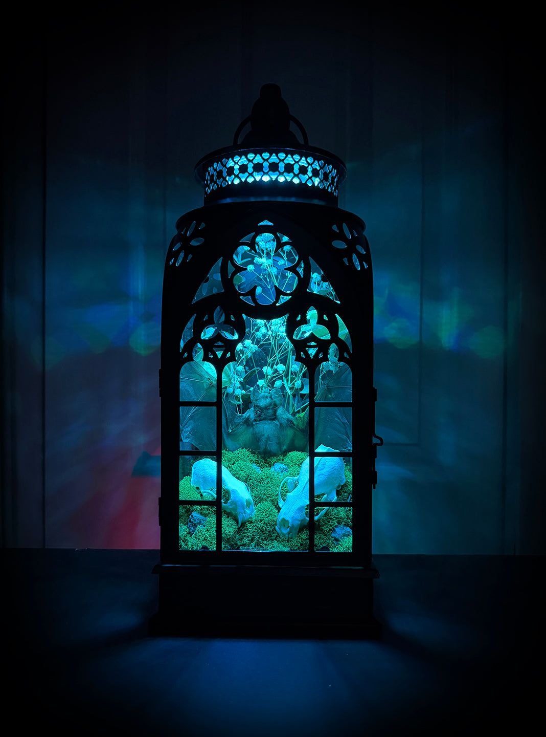 Custom Taxidermy Bat Lantern for Cameron