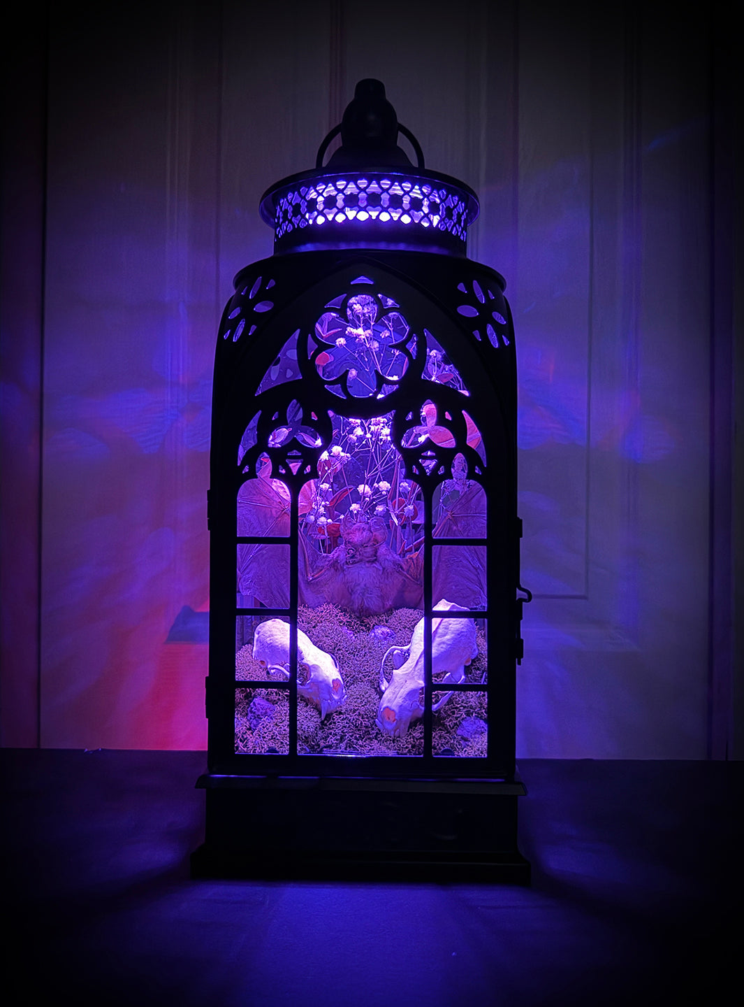 Custom Taxidermy Bat Lantern for Cameron