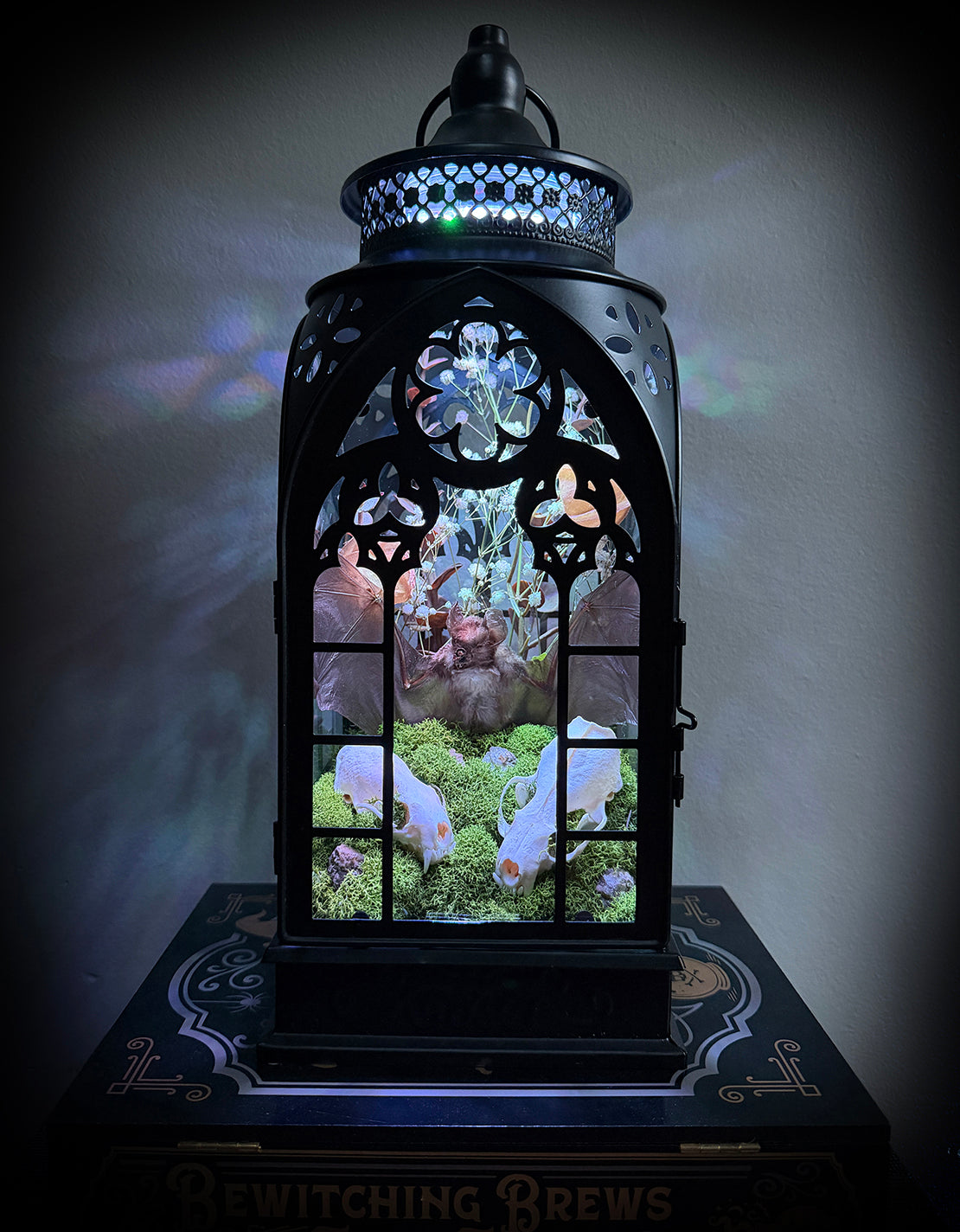Custom Taxidermy Bat Lantern for Cameron