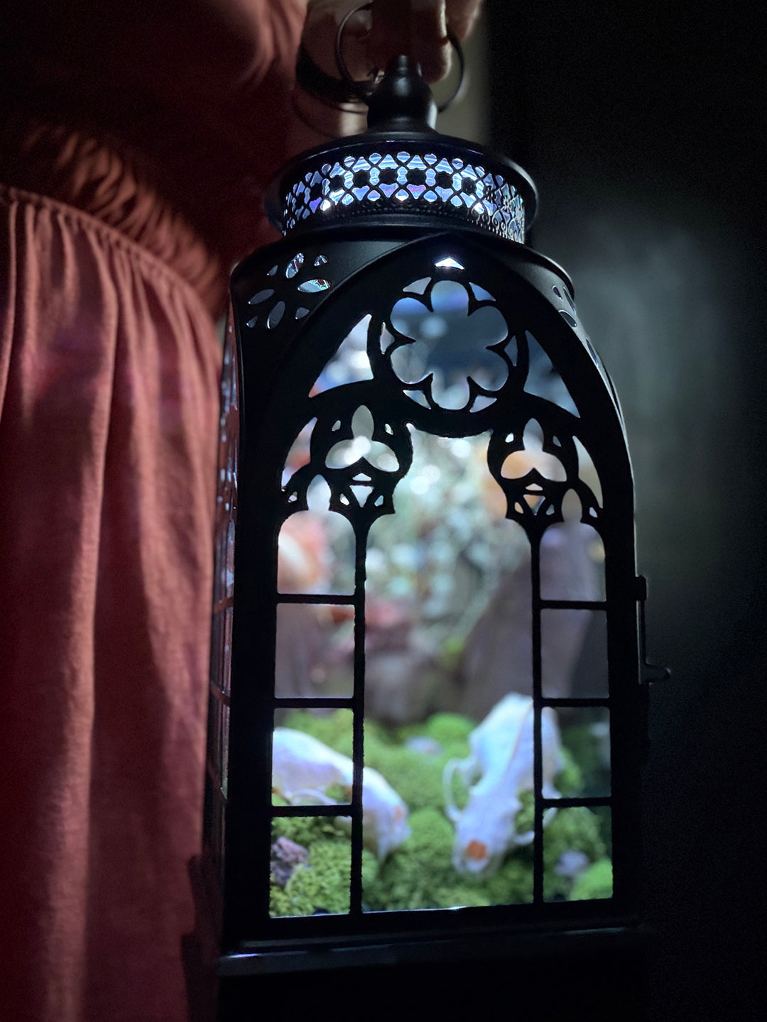 Custom Taxidermy Bat Lantern for Cameron