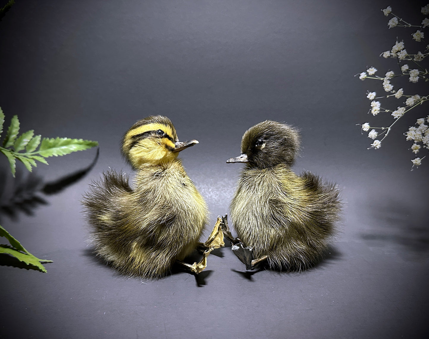Antique Gold Taxidermy Duck Lantern with Lights