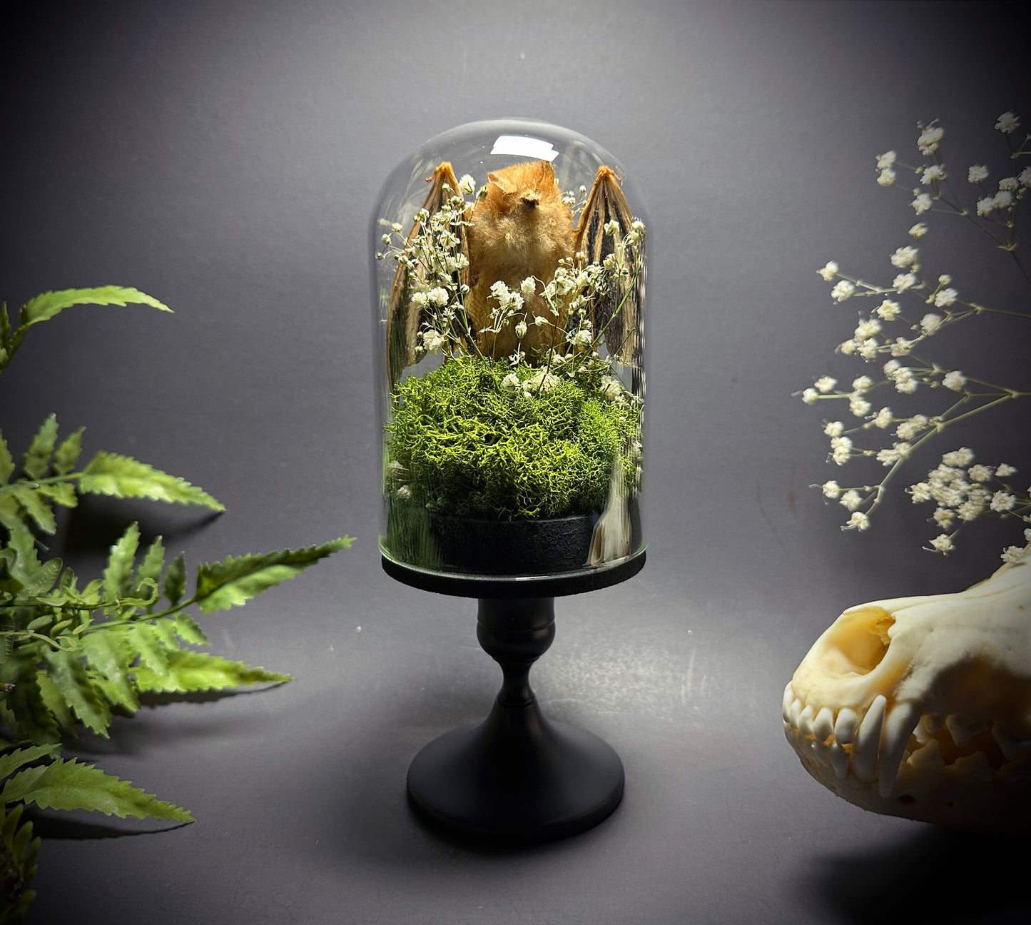 Painted Wooly Bat Taxidermy Pedestal Display