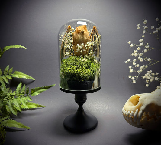 Painted Wooly Bat Taxidermy Pedestal Display