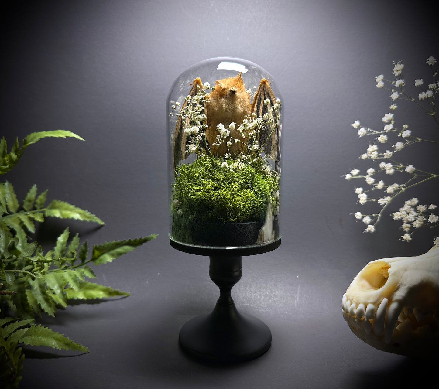 Painted Wooly Bat Taxidermy Pedestal Display