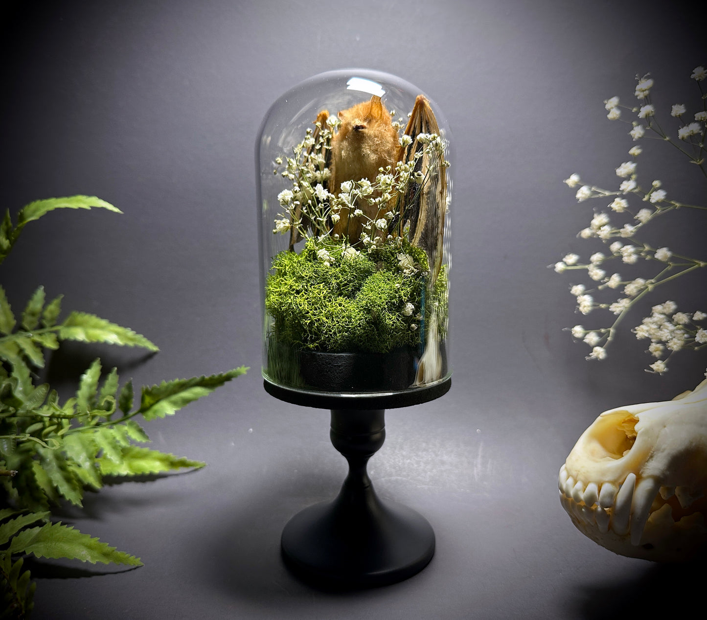 Painted Wooly Bat Taxidermy Pedestal Display