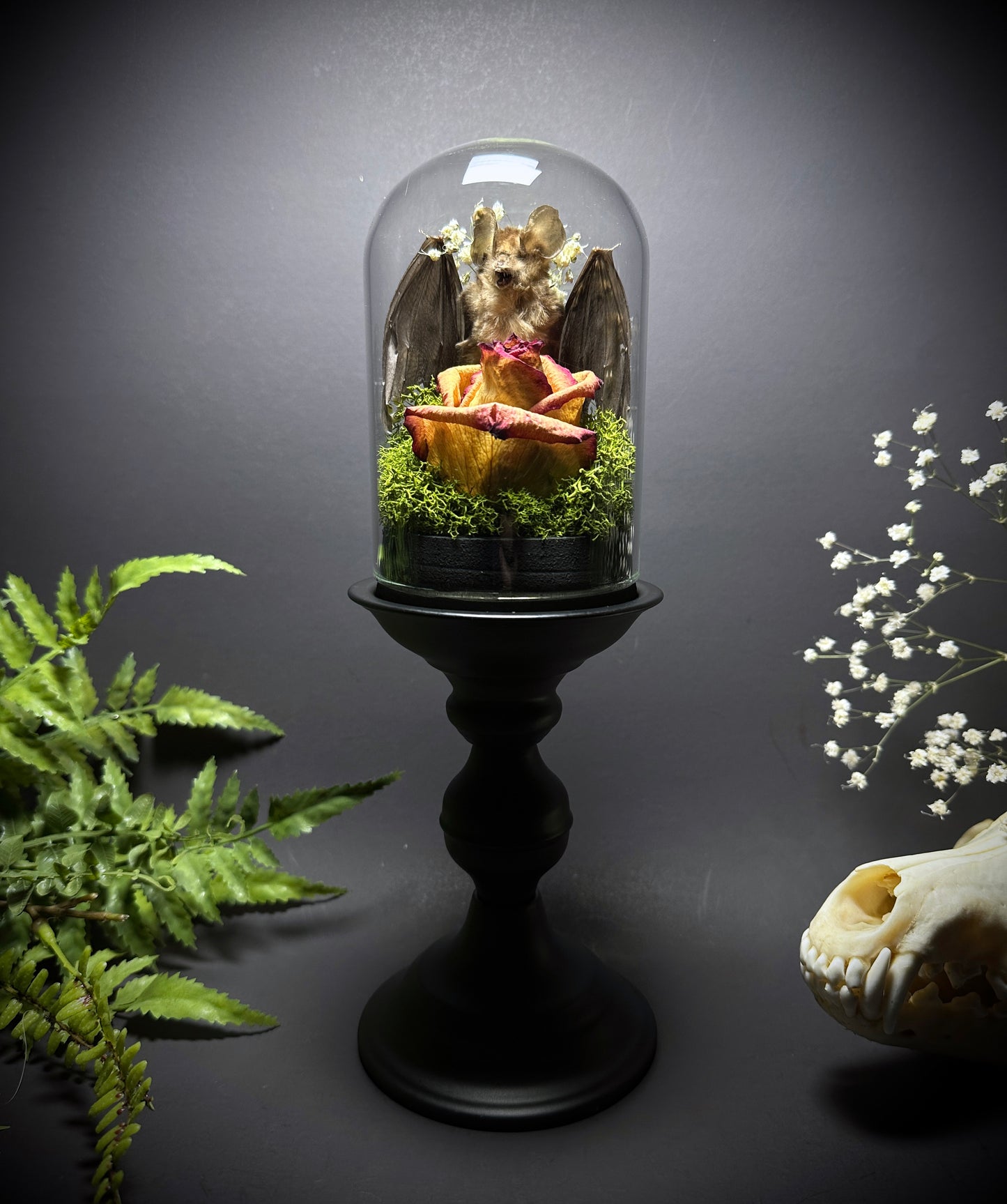 Large Taxidermy Bat & Rose Pedestal Dome Display