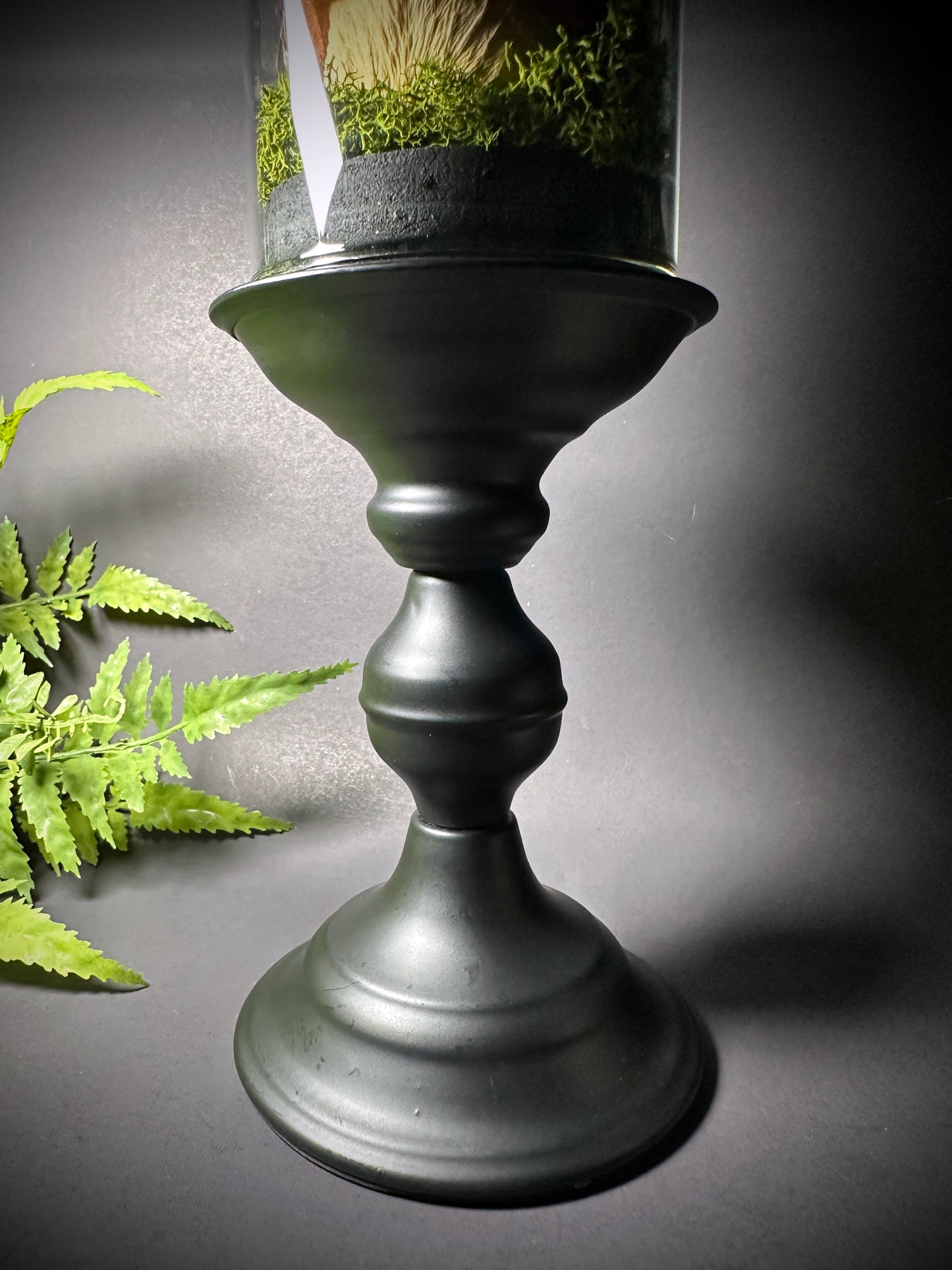 Large Taxidermy Bat & Rose Pedestal Dome Display