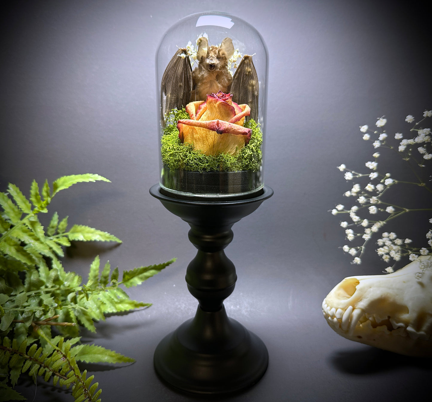 Large Taxidermy Bat & Rose Pedestal Dome Display