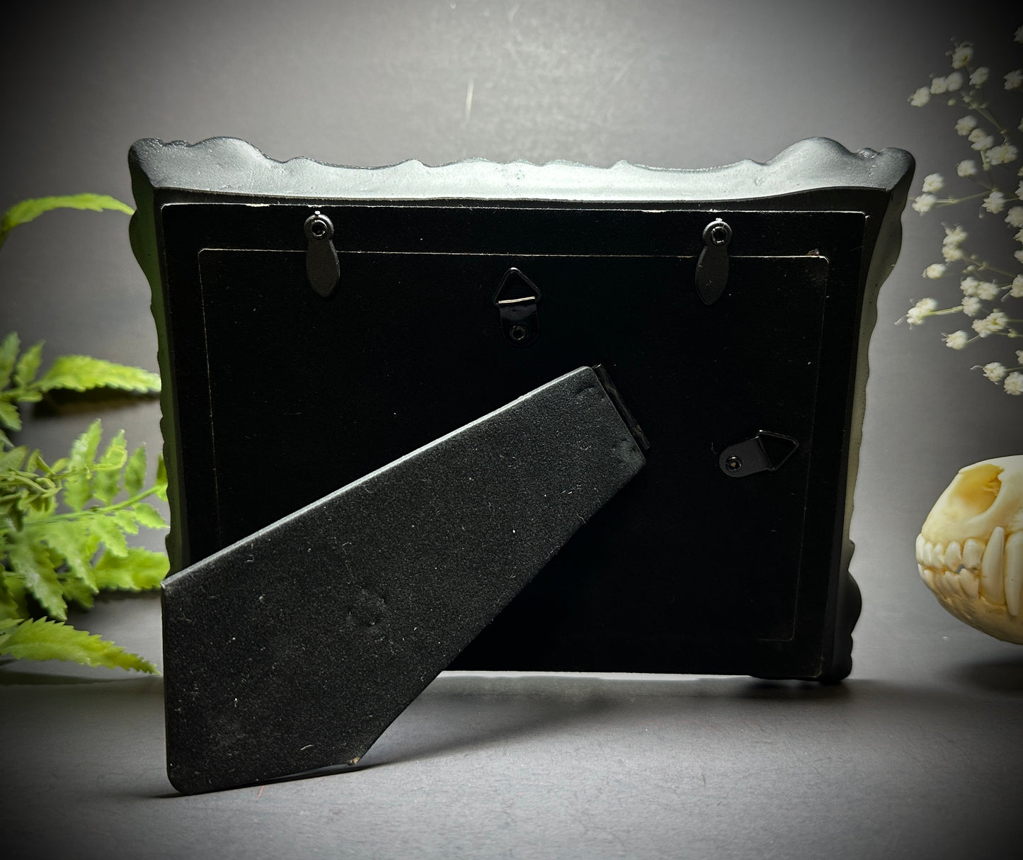 6x8 Taxidermy Bat frame with Red Backing