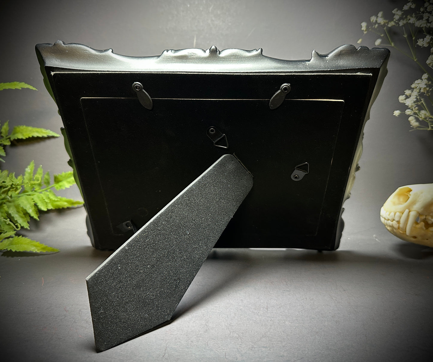 8x10 Taxidermy Bat frame with Black Backing