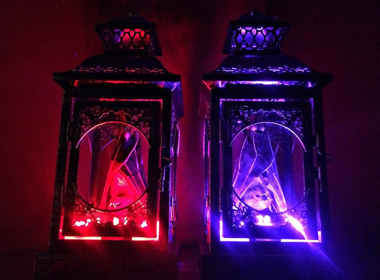 Small Light Up Taxidermy Bat Lantern - Front Hanging Position