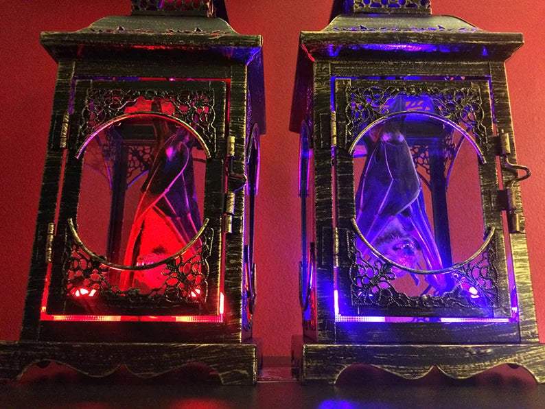 Small Light Up Taxidermy Bat Lantern - Front Hanging Position
