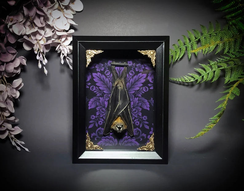 Taxidermy Bat Shadowbox with Purple Damask Backing